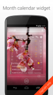 DigiCal+ Calendar & Widgets