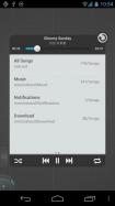 TSF Music Widget