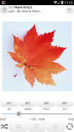 Maple Player Classic