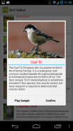 Morning Bird Alarm Clock