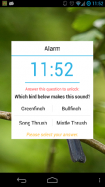 Morning Bird Alarm Clock