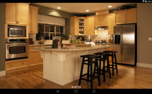 Homesnap Real Estate