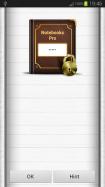 Notebooks Pro