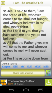 Words of Jesus Each Day