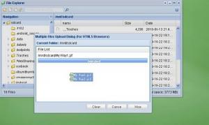 Remote Web Desktop
