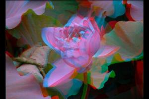 Stereoscope