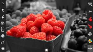 Color Splash Effect Photo Edit