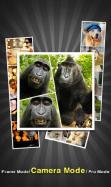 InstaPicFrame Pro