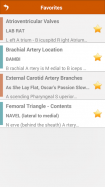 Anatomy Mnemonics
