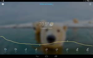 Bright Weather Forecast Radar