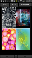 Backgrounds HD Wallpapers