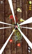 Fruit Slice