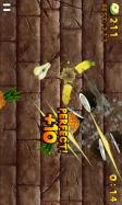Fruit Slice