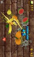 Fruit Slice