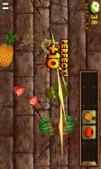 Fruit Slice