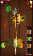 Fruit Slice