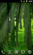 RealDepth Forest Live Wallpaper