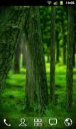 RealDepth Forest Live Wallpaper