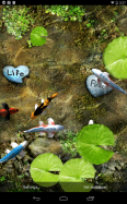 Koi Live Wallpaper