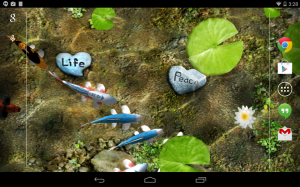 Koi Live Wallpaper