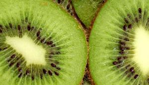 Kiwi Fruit LWP