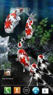 My 3D Fish II