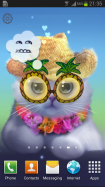 Yang The Cat