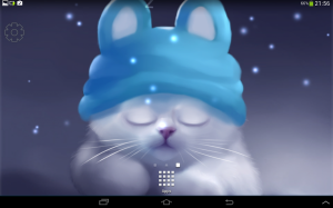 Yang The Cat