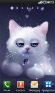 Yang The Cat