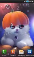 Yang The Cat