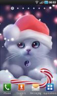 Yang The Cat