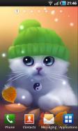 Yang The Cat