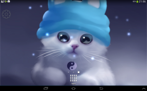 Yang The Cat