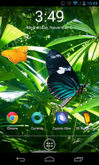 3D Image Live Wallpaper