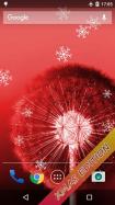 Dandelion Live Wallpaper