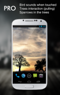 Sun Rise Free Live Wallpaper