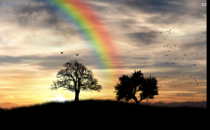 Sun Rise Free Live Wallpaper