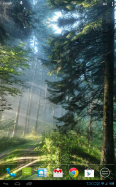 Panoramic Screen