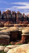 Nature Scenes