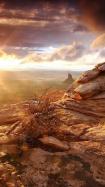 Nature Scenes