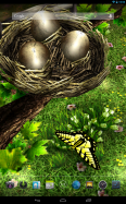 Season Zen HD