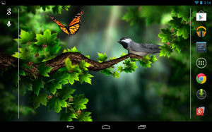 Season Zen HD