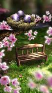 Season Zen HD
