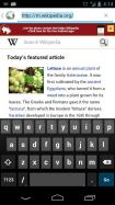 Orweb: Private Web Browser