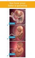 My Pregnancy Today