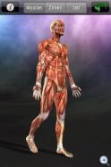 Trigger Points