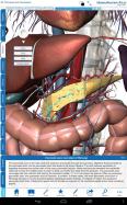 Human Anatomy Atlas