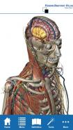 Human Anatomy Atlas