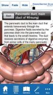 Human Anatomy Atlas