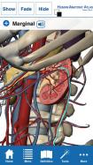 Human Anatomy Atlas